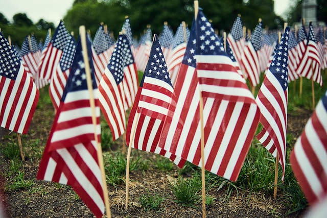 american flags in the ground