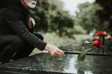 man placing rose on grave